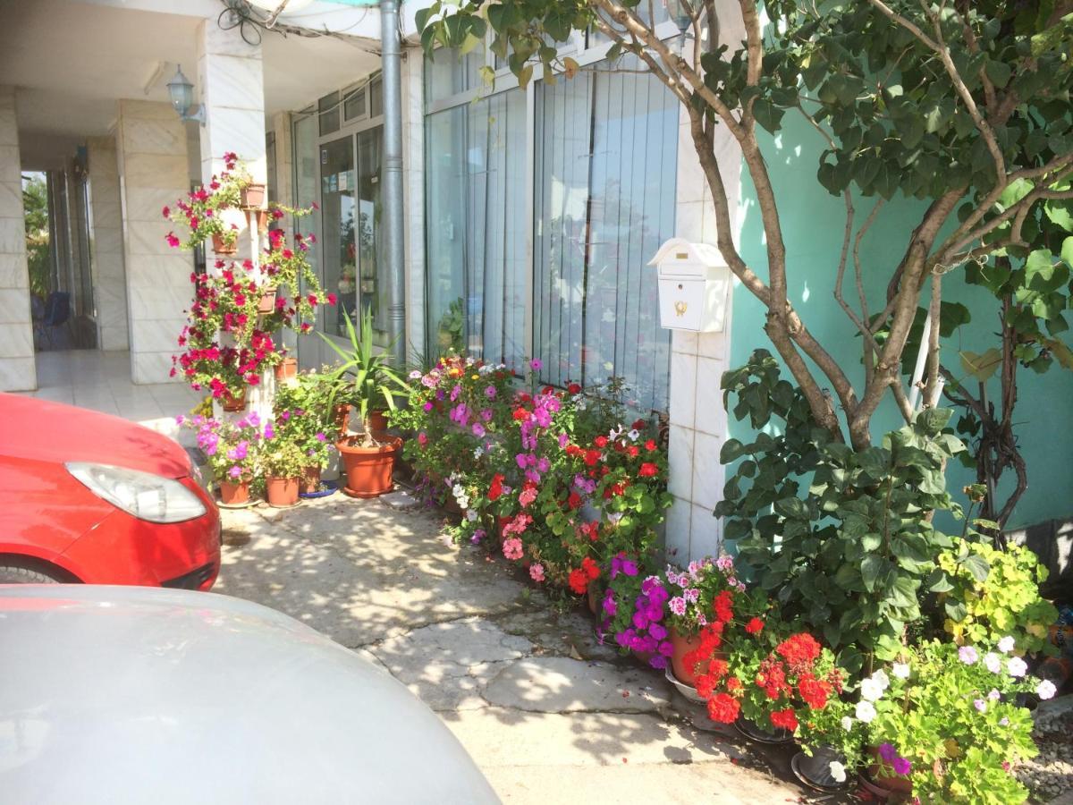 Pensiunea Simina Caransebeş Exterior foto